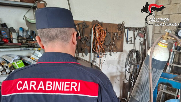 Inquinamento ambientale e abusivismo edilizio: tre denunciati dai Carabinieri