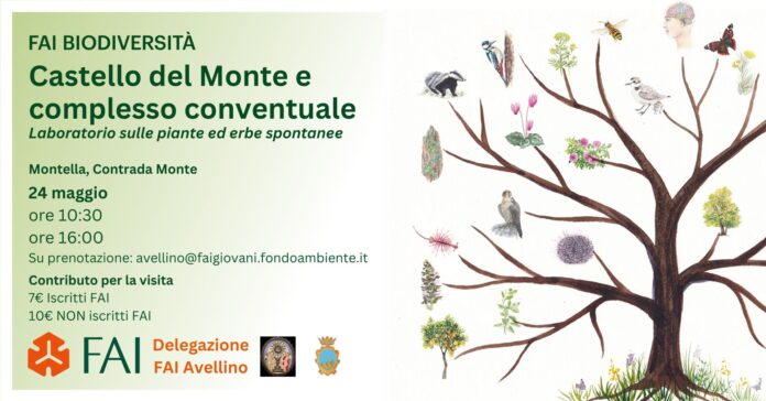 cover facebook biodiversità
