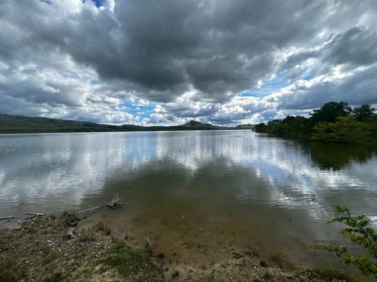 Natura, musica, libri, stelle e sapori sulle rive del Lago di Conza: ecco il venerdì culturale dell’Oasi