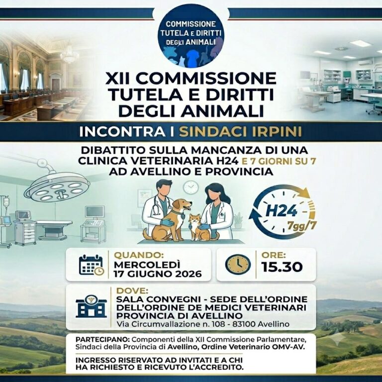 Clinica veterinaria pubblica ad Avellino: il confronto tra istituzioni e territorio