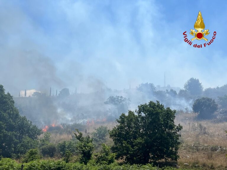 Incendio di vegetazione a Caserta Vecchia: Avellino in campo con squadre specializzate