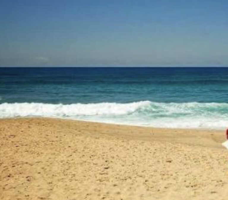 Estate 2026 tra tensioni e rincari: le linee guida del Codacons per blindare il proprio viaggio