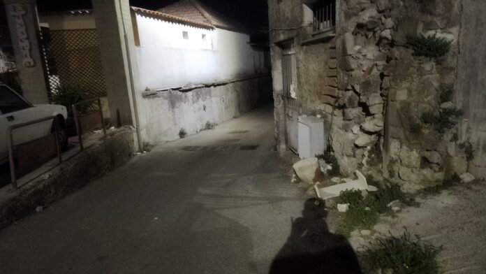 IMG-20260717-WA0099