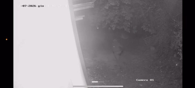 L’ennesimo raid dei ladri  contro l’abitazione del senologo Carlo Iannace a San Leucio
