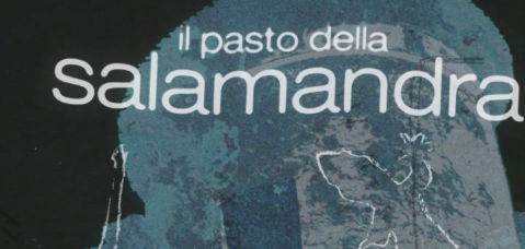 Schermata 2026-08-13 alle 15.52.08
