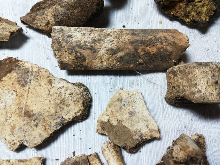 Il sito preistorico Neolitico di Campo Ceraso disseminato tra i Comuni di Torre Le Nocelle e Venticano