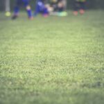 img_9450.jpg