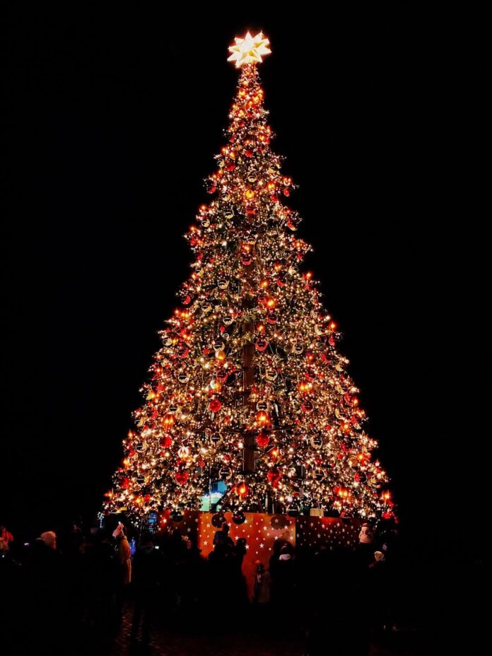 albero natale