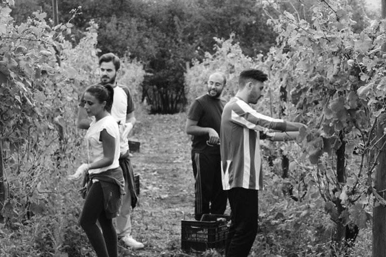 “Amici prima che cugini”, il ricordo di nonno Alfonso nel fiano di Cantina VentitréFilari