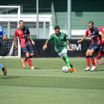 insigne cosenza