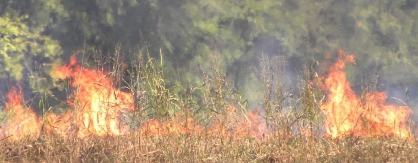 Appicca un rogo e rischia di estenderlo ad un’intera area boscata, nei guai un anziano