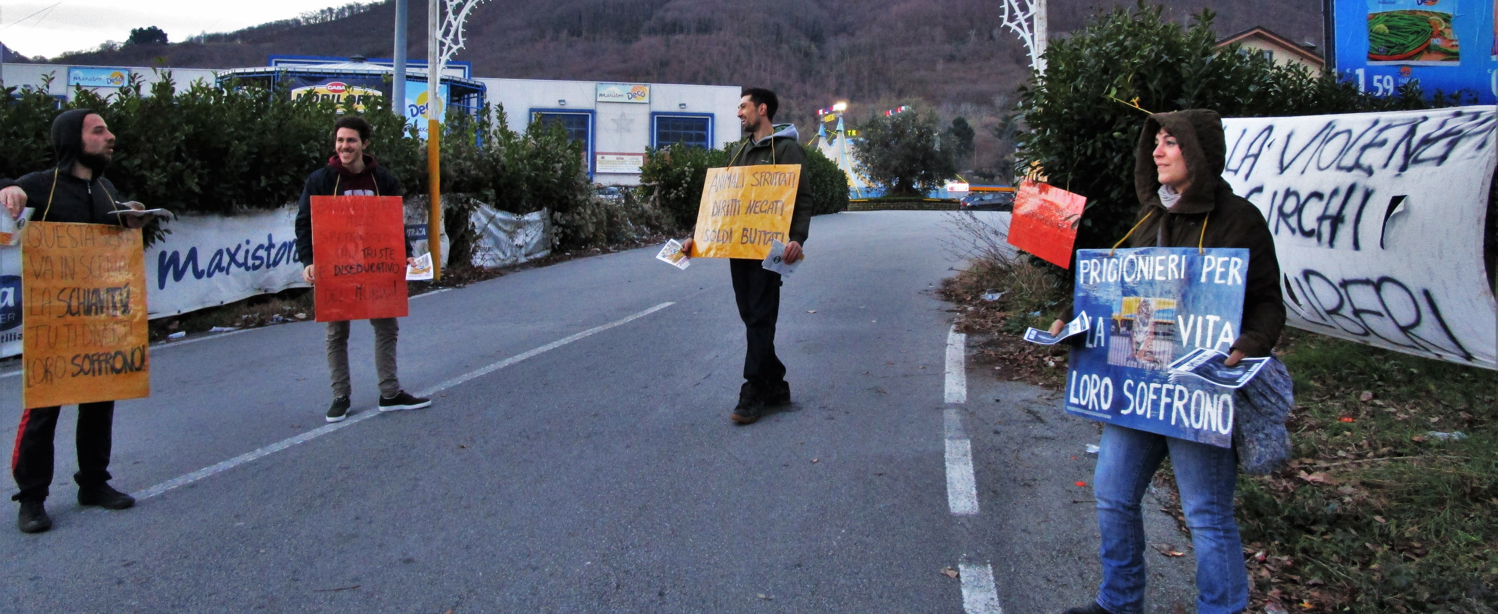 “Animali imprigionati e manifesti abusivi”, attivisti irpini contro il Circo a Monteforte