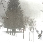 IMG_9493.JPG