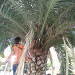 IMG_9604-0.jpg