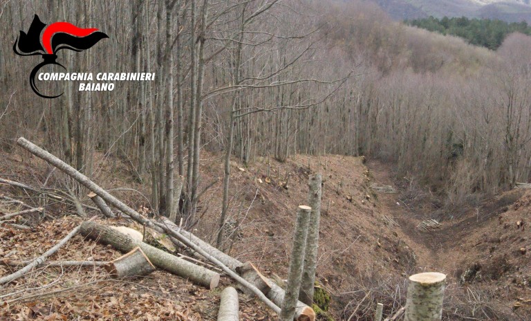 Moschiano, due rumeni arrestati per furto di legna