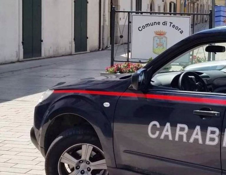Coltivava marijuana in casa, nei guai 34enne