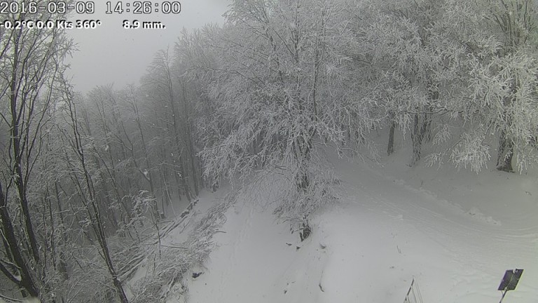FOTO/ Nevica intensamente a Montevergine e sul Partenio, piste aperte al Laceno