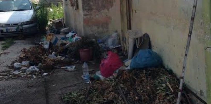 Inquinamento ambientale: sanzioni e denunce in Alta Irpinia