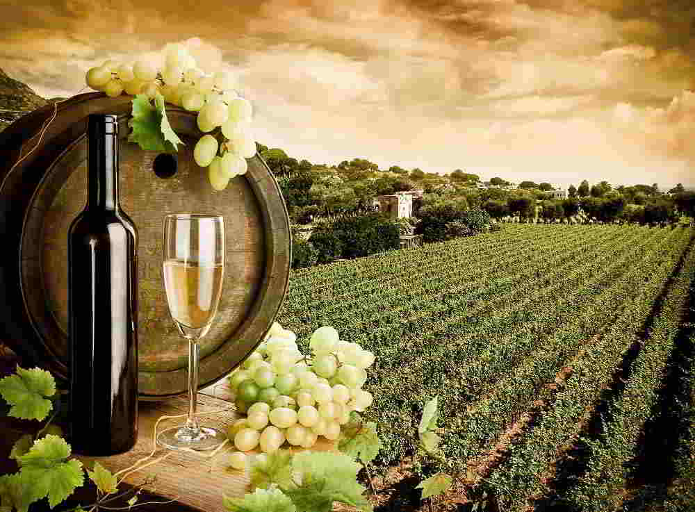 Tufo – Tutto pronto per la Festa della Vendemmia 2015