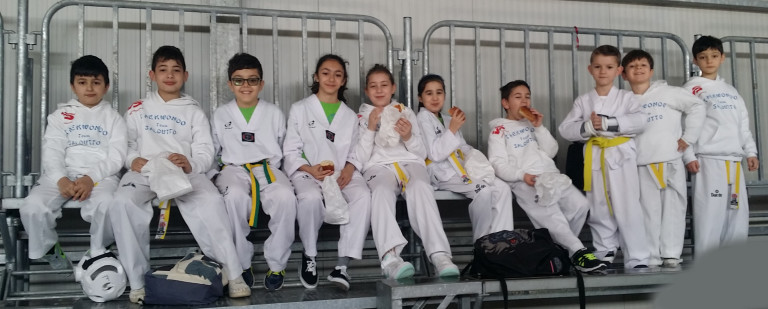 Taekwondo, al Country allenamento collegiale per i piccoli atleti