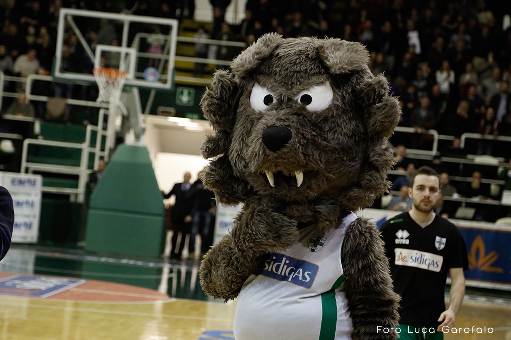 Mascotte Sidigas Scandone Avelllino