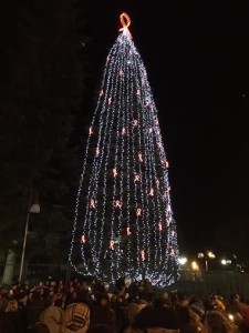 albero
