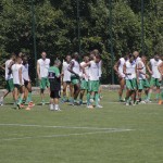 all-avellino