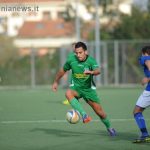 avallone