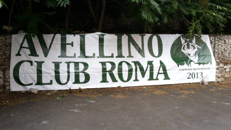 Avellino Club Roma: “L’emergenza non ferma la nostra passione a distanza”