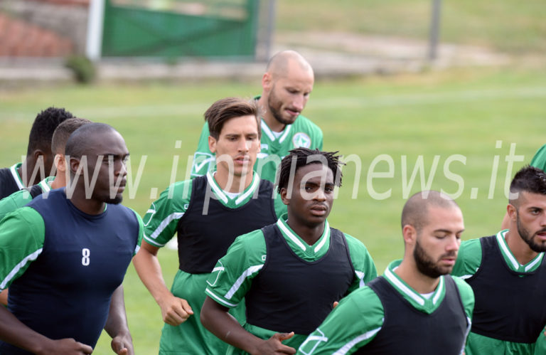 Avellino Calcio – Lupi, primo giorno di lavoro: la fotogallery di Irpinianews