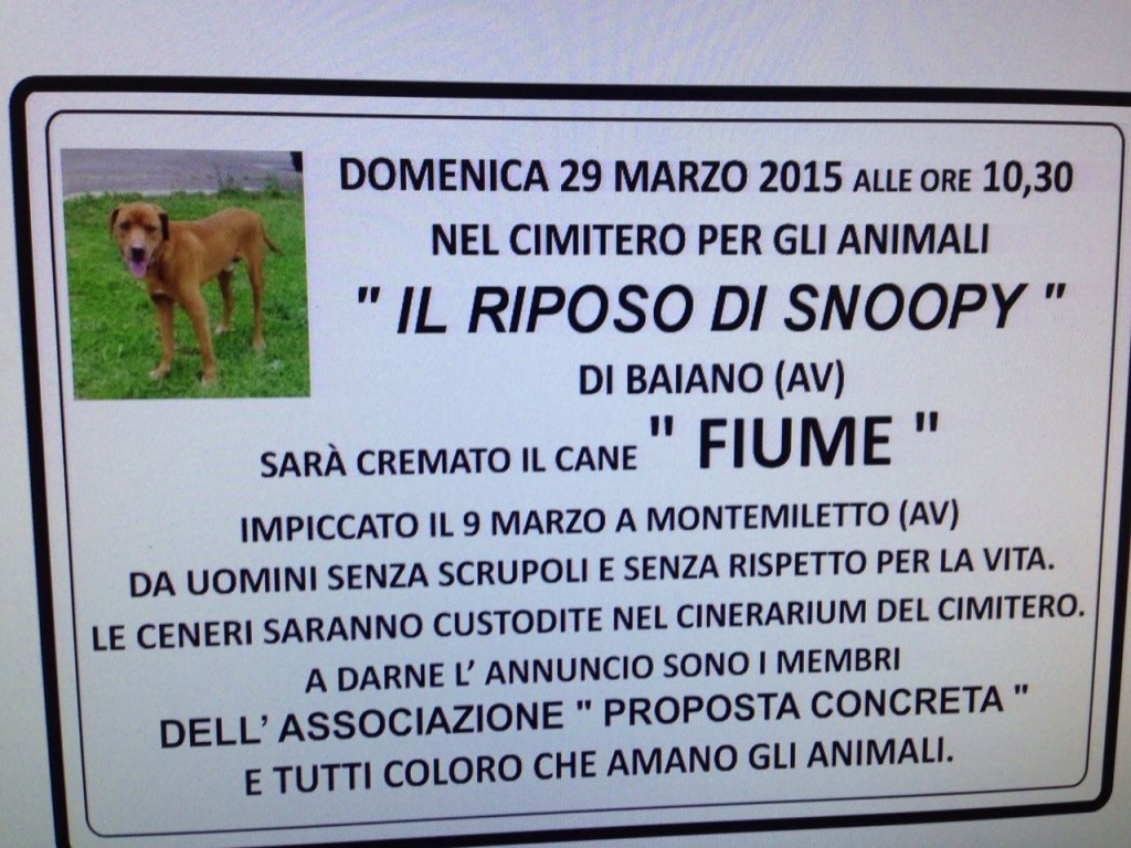 Funerale cane impiccato