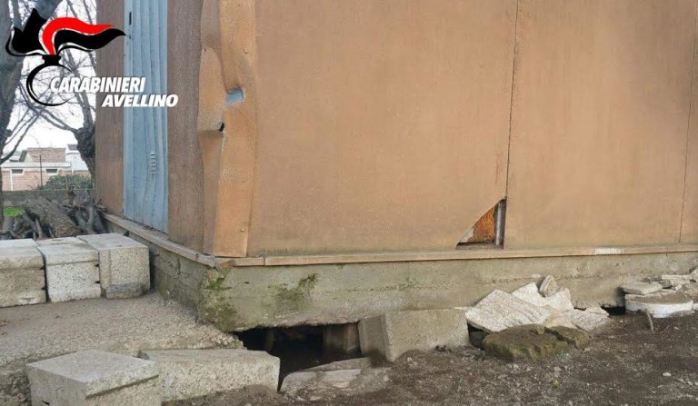 Murò vivi 12 cani a San Michele di Serino: “54enne che non tollera gli animali, la giustizia faccia il suo corso”