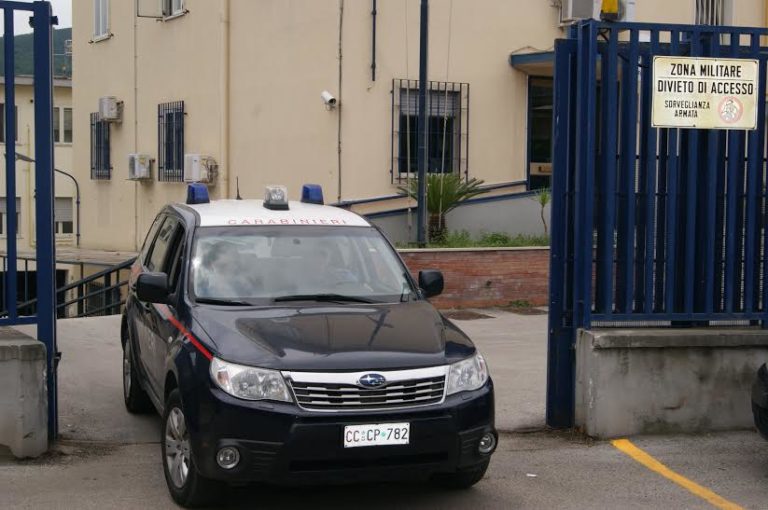 Ammassano venti gatti su un furgone facendoli sparire dal paese: due denunce