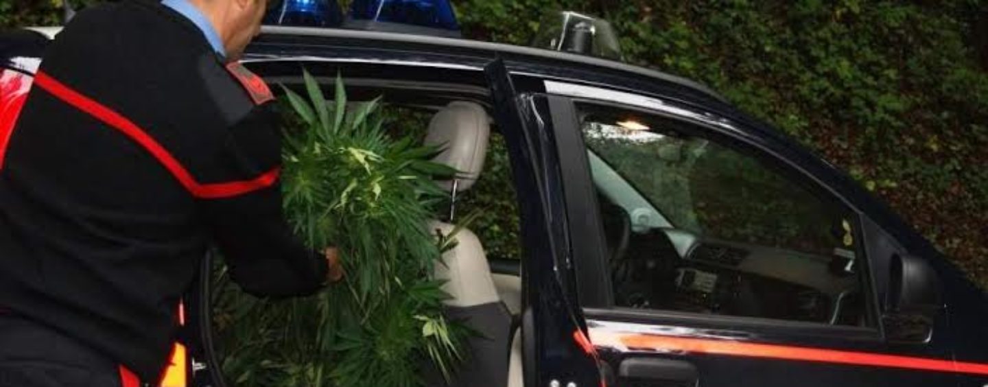 Perquisizioni a tappeto con l’unità cinofila: 4 persone sorprese in possesso di droga