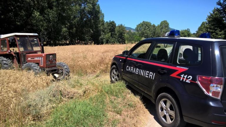 Teora – Truffa aggravata: denunciati due agricoltori