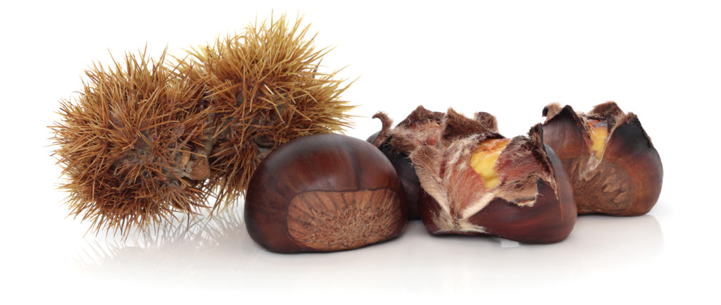 castagne