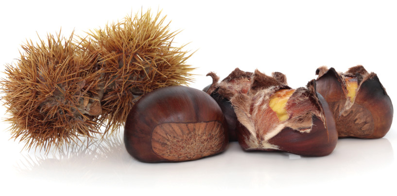 Castagne del prete: tradizione e leggenda di un prodotto tipico d’Irpinia
