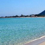 mare