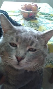 chico