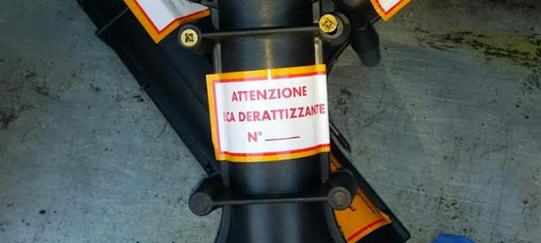 Derattizzazione in provincia di Avellino, il programma degli interventi