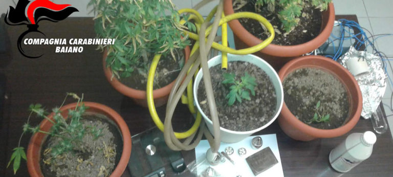 Montoro, sorpreso con 100 grammi di hashish e marijuana in casa: arrestato