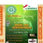festa del volontariato