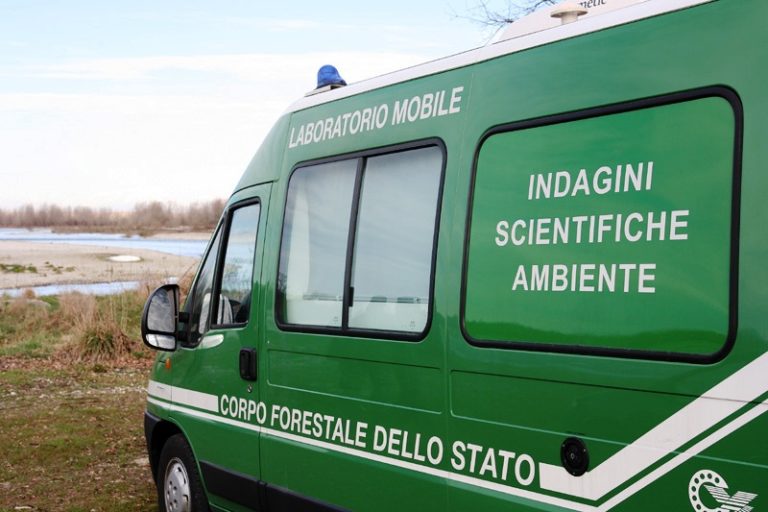 Livelli di tossicità acuti: sequestrato il depuratore di Ospedaletto
