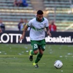 insigne