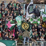tifosi como