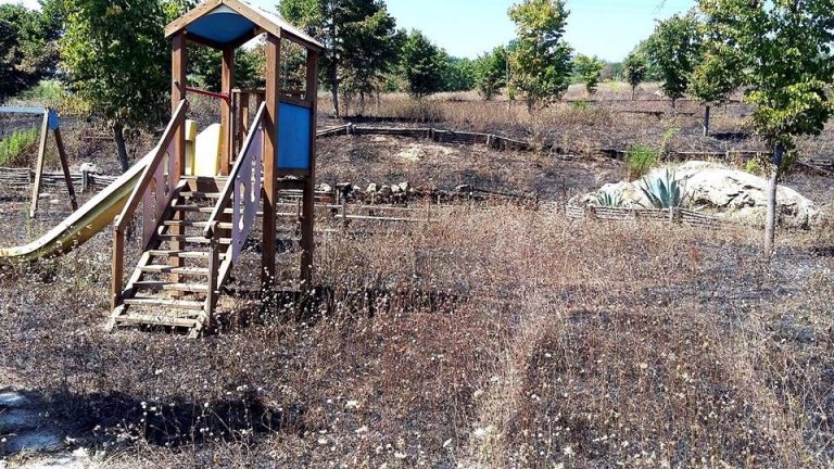 FOTO/ Montemiletto, le fiamme distruggono Parco Bosco