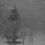 laceno neve