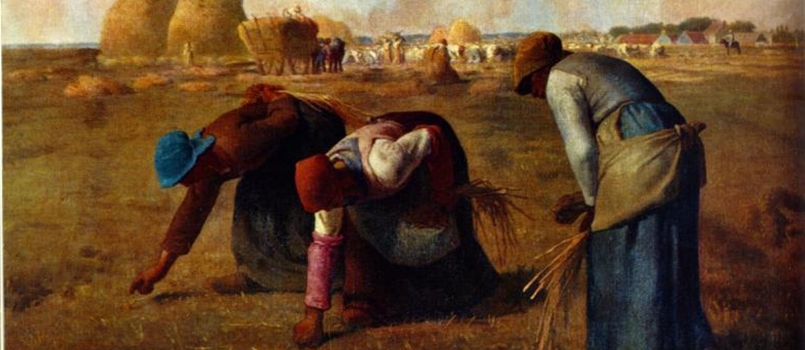 Lauro – Festa dell’Agricoltura il 17 e 18 ottobre