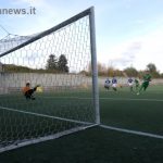 liguori-Federici