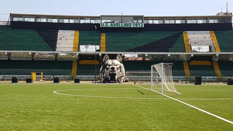 Lo Stadio Partenio Lombardi ospiterà il Frosinone